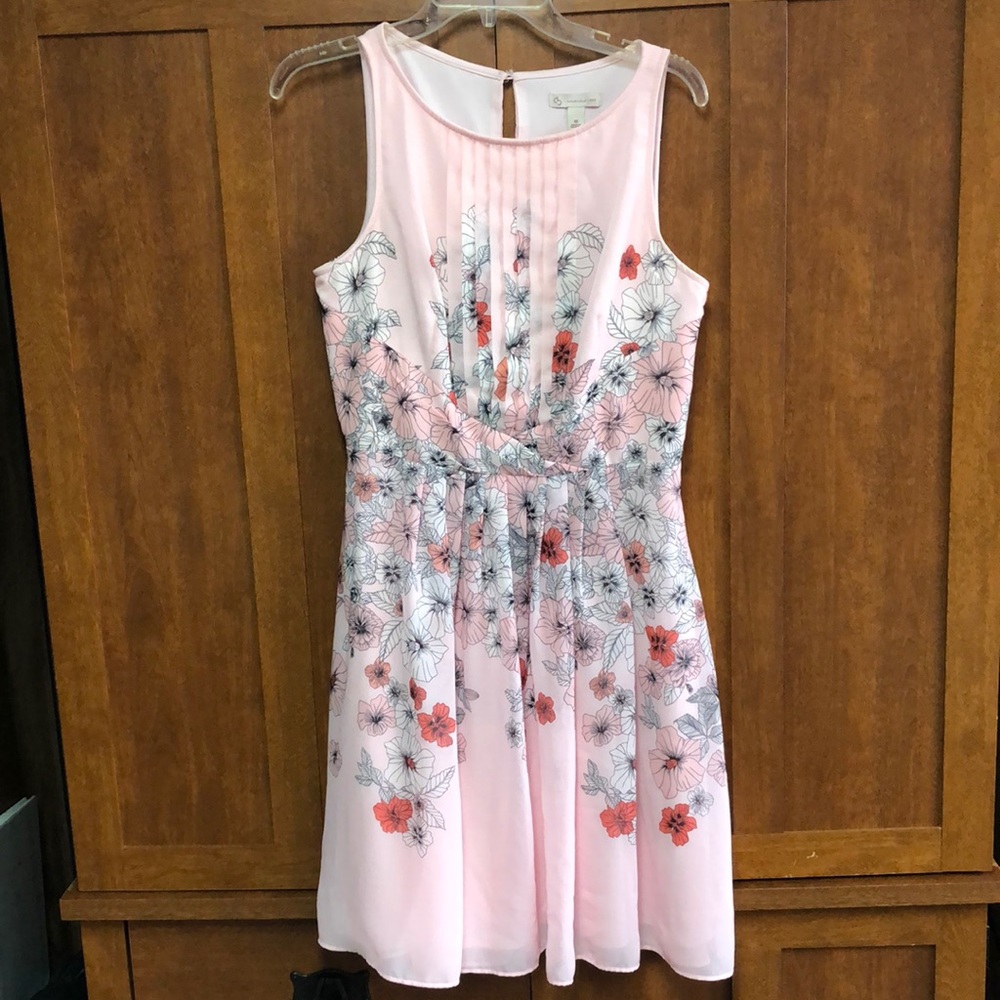 Established 1962 Pink Floral Spring Dress